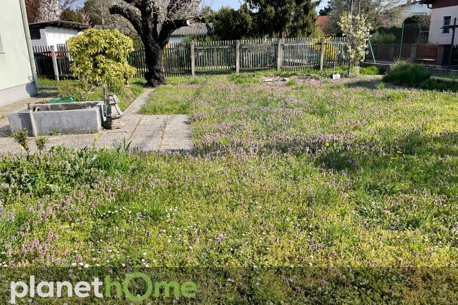 Baugrundstück BK I / 6,0 m / ogk, Grund und Boden-kauf, 499.000,€, 1220 Wien 22., Donaustadt