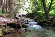 Traumanwesen in Alleinlage – 12.000 m² für Naturliebhaber und Pferdehalter