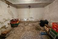 Sanierungsbedürftiges Haus mit Lagerhalle und großen Grund zu verkaufen!