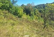 Traumhaftes Baugrundstück in Kranachberg bei Gamlitz – Ihr Platz an der Sonne
