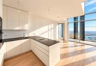 Penthouse AT THE TOP OF VIENNA. 51st Floor Above the DANUBE