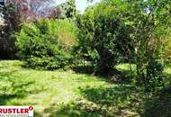 großzügiges Grundstück mit sehr gepflegtem Bestand