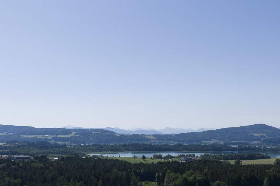 Vielseitige Gewerbeimmobilie: Büro-, Werkstätten-, Lager- &amp; Ausstellungshalle in OÖ!!, Gewerbeobjekt-kauf, 5165 Salzburg-Umgebung