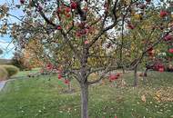 GARTENPARADIES - 9.000 M² - LANDHAUS IN PARKLANDSCHAFT NUR 30 MINUTEN VON WIEN