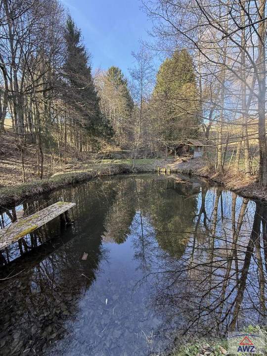 Naturparadies: großzügiges Anwesen in sonniger Ruhelage nahe Paldau!