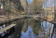 Naturparadies: großzügiges Anwesen in sonniger Ruhelage nahe Paldau!