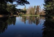 "Retreat im Waldviertel – Romantischer Fischteich im idyllischem Tann"