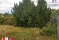 Attraktives Baugrundstück im Herzen von Seyring – Ideal für Investoren, Bauträger und private Immobilienliebhaber