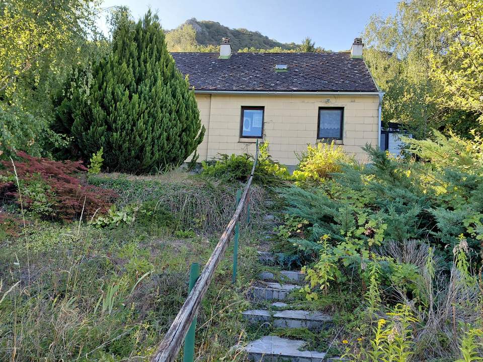 Carnuntumstraße- großer Grund mit Altbestand- Donaublick in Hainburger Bestlage