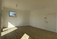 Moderne Neubau-Einfamilienvilla nahe Neulengbach