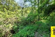 Ruhig gelegen Anwesen in Traismauer zu verkaufen