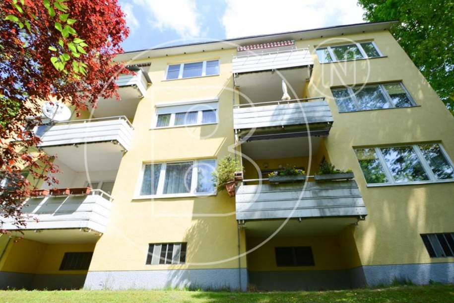 Renovierungsbedürftige 3-Zimmer-Balkon-Wohnung in Bestlage!, Wohnung-kauf, 449.000,€, 1180 Wien 18., Währing
