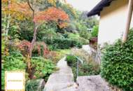 EINFAMILIENHAUS in WUNDERBARER WALDRANDLAGE