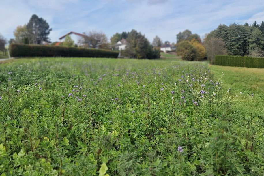 Grundstück im schönen idylischen Südburgenland., Grund und Boden-kauf, 56.000,€, 7562 Jennersdorf