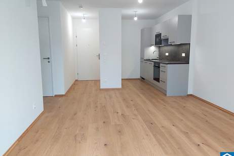 Renditestarkes Wohnen mit Stil: Genießen Sie modernes Design und erstklassige Ausstattung als lohnende Investition, Wohnung-kauf, 233.700,€, 1220 Wien 22., Donaustadt
