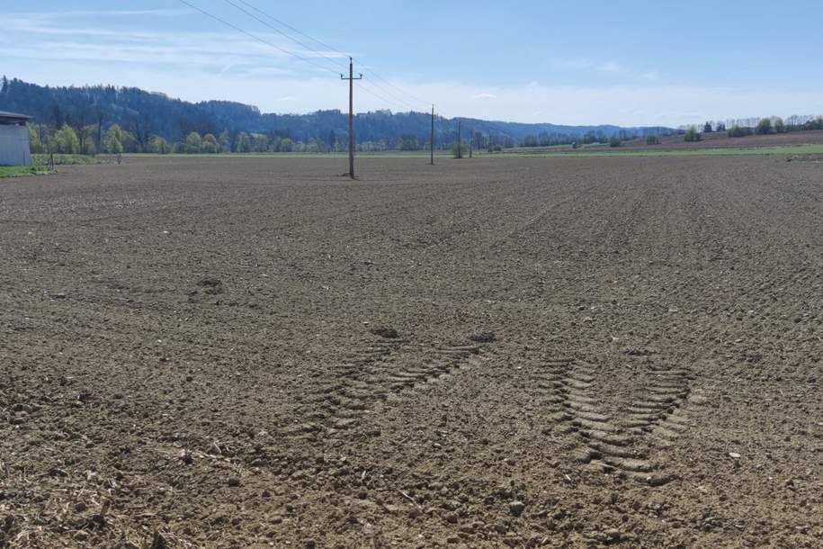 ++GEWERBEGRUNDSTÜCK ca. 20.0000 m² TEILBAR im GROßRAUM von GRAZ und LEIBNITZ++ PERFEKTE VORRAUSSETZUNGEN für BETRIEBSANSIEDLUNG gegeben++ BD 0,2 - 0,6++, Grund und Boden-kauf, 8081 Leibnitz