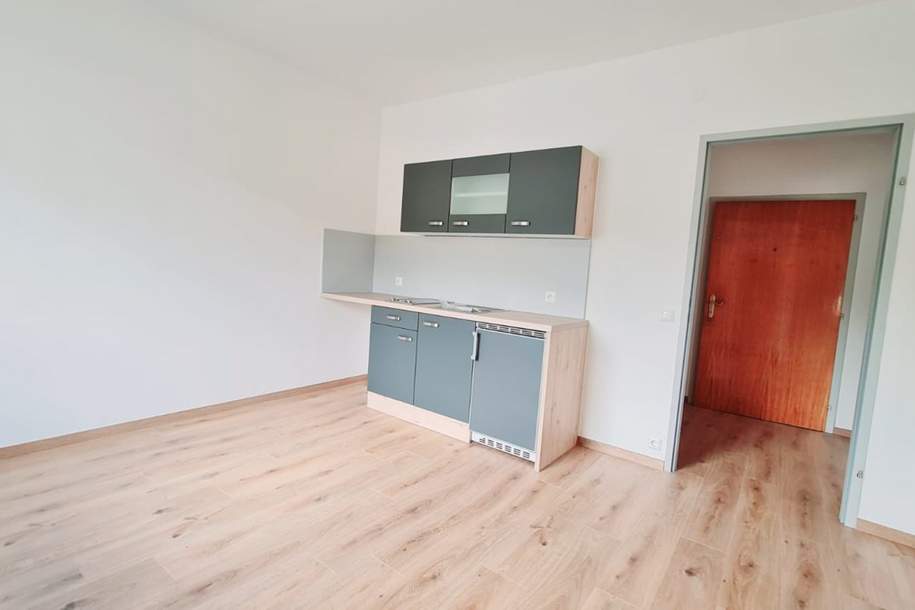 Geräumige Single-Wohnung in Spittal, Wohnung-miete, 600,00,€, 9800 Spittal an der Drau