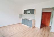 Geräumige Single-Wohnung in Spittal