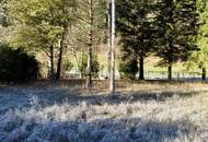 Grundstück in Gaupmannsgraben/ Ramsau (Land- Forstwirtschaft)