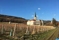 Historisches Winzerhaus mit Seele in Gumpoldskirchen
