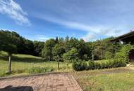 Rückzugsort mit Panorama-Grünblick - gepflegtes Einfamilienhaus im Südburgenland