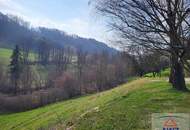 Bauernhof mit arrondiertem Grund in Alleinlage im Voralpengebiet!