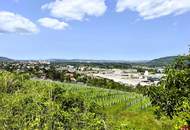 Die Donau im Blick