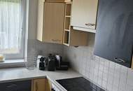 EINFAMILIENHAUS MIT GROSSEM GRUNDSTÜCK IN RUHIGER LAGE – DONAUTURM