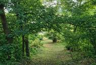 Natur vor der Haustür – Grundstück mit Weitblick und Grünlandanschluss