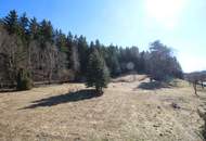 SONNENLAGE - Wohnhaus auf 4700 m² Grund inkl. Entwicklungsplan