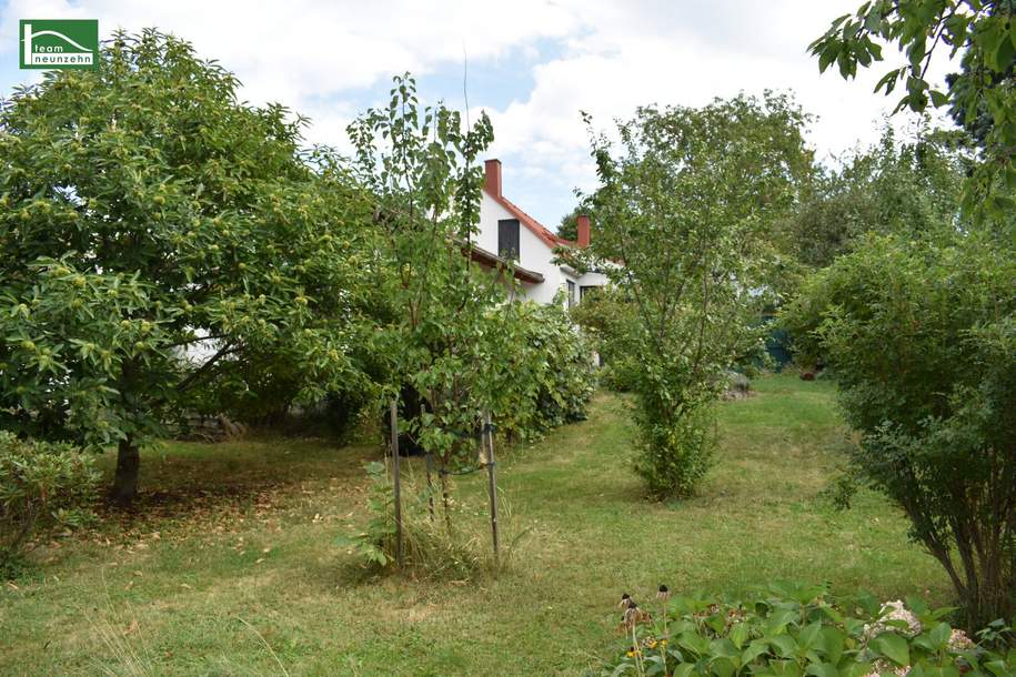 Ländliche Idylle im Burgenland: Charmantes Landhaus mit 4 Zimmern, 130 m², Garten, Terrasse, u.v.m.! - JETZT ZUSCHLAGEN, Haus-kauf, 290.491,€, 7323 Oberpullendorf