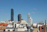 Dachterrassenwohnung Reichsbrücke-Alte Donau-UNO-City