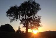 Gartenwohnung 7 Zimmer mit Pool im Apfelgarten - - 5 bedroom apartment 15 km from Vienna