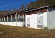 Lager-, Montage- u.o. Produktionshallen mit Freiflächen in Opponitz - Ybbstal zu mieten