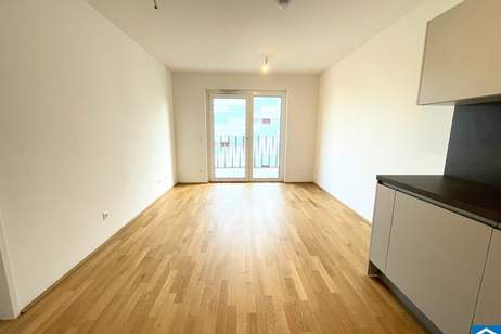 Wunderschöne 3 Zimmerwohnung mit Freifläche, Wohnung-miete, 1.399,00,€, 1210 Wien 21., Floridsdorf