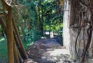 Großzügiges Baugrundstück mit Abbruchhaus und Grünlandanteil im Irenental