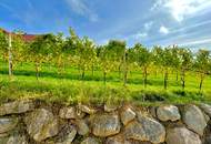 2-Zimmer Wohnung mit traumhaften Panoramablick inmitten der Weinberge von Klöch - Erstbezug!