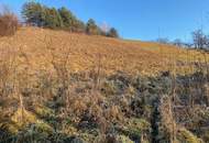 Ruhig, grün und sonnig! Schöner Baugrund!