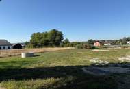 Lager- / Gewerbehalle mit 500 m² Nutzfläche in Hartberg zu vermieten – Erweiterung auf 1000 m² möglich