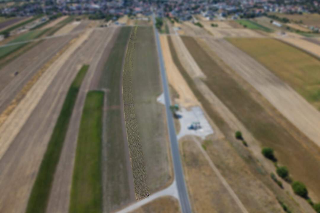 Landwirtschaftliches Grundstück in der KG Auersthal - 4777m2