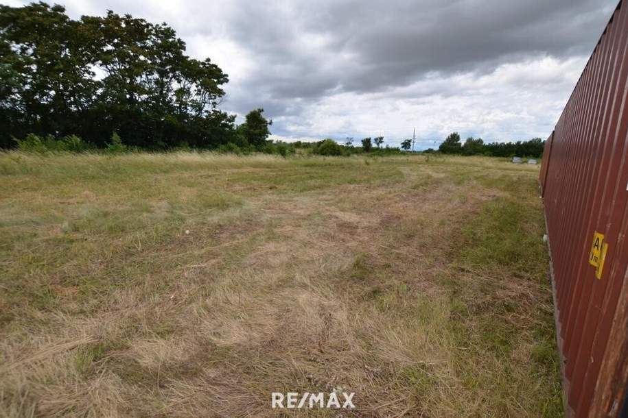 50 - 500 m² Lagerplatz PROVISIONSFREI !, Gewerbeobjekt-miete, 1.300,00,€, 2325 Bruck an der Leitha