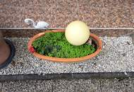 den Frühling erleben im Preiswerten Kleingarten Haus mit Garten / Pool / Grillplatz