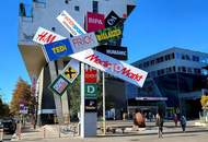 Leben in einer historischen Kleinbahnfabrik mit 3m Raumhöhen - zwischen Rosenhügel und Liesingbach