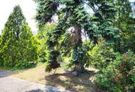 "IN KAUFABWICKLUNG!" ALTES HAUS AUF SCHÖNEN BAUGRUND IN WIEN INZERSDORF