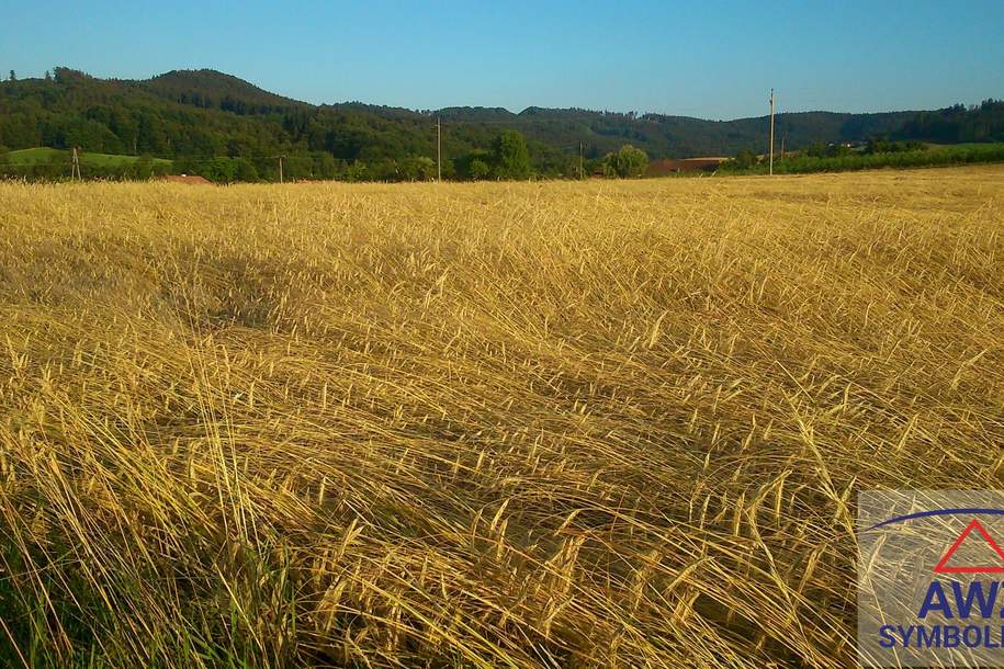 Schöner Acker mit ca. 7 Hektar Größe!, Grund und Boden-kauf, 4400 Steyr-Land