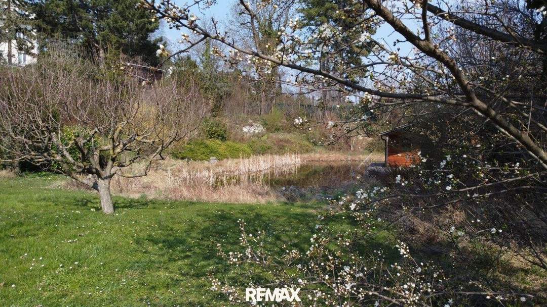 "Exklusives Refugium mit Biotop & 3.000 qm Gartenparadies!"