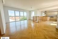 Willkommen in der Oswaldgasse: 3-Zimmer - Dachterrasse - Einzigartige Wohnküche - Lichtdurchflutete Maisonette-Wohnung - Großzügige Raumaufteilung
