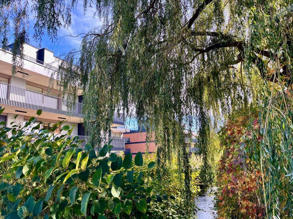 Stilvolles Wohnen am Krotenbach – Ruhe trifft Lebensqualität