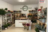 Geschäftslokal mit großer Auslage – vielseitig nutzbar in Grünbach am Schneeberg .