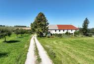 Landwirtschaft in Kirnberg– ca. 16 ha Grund